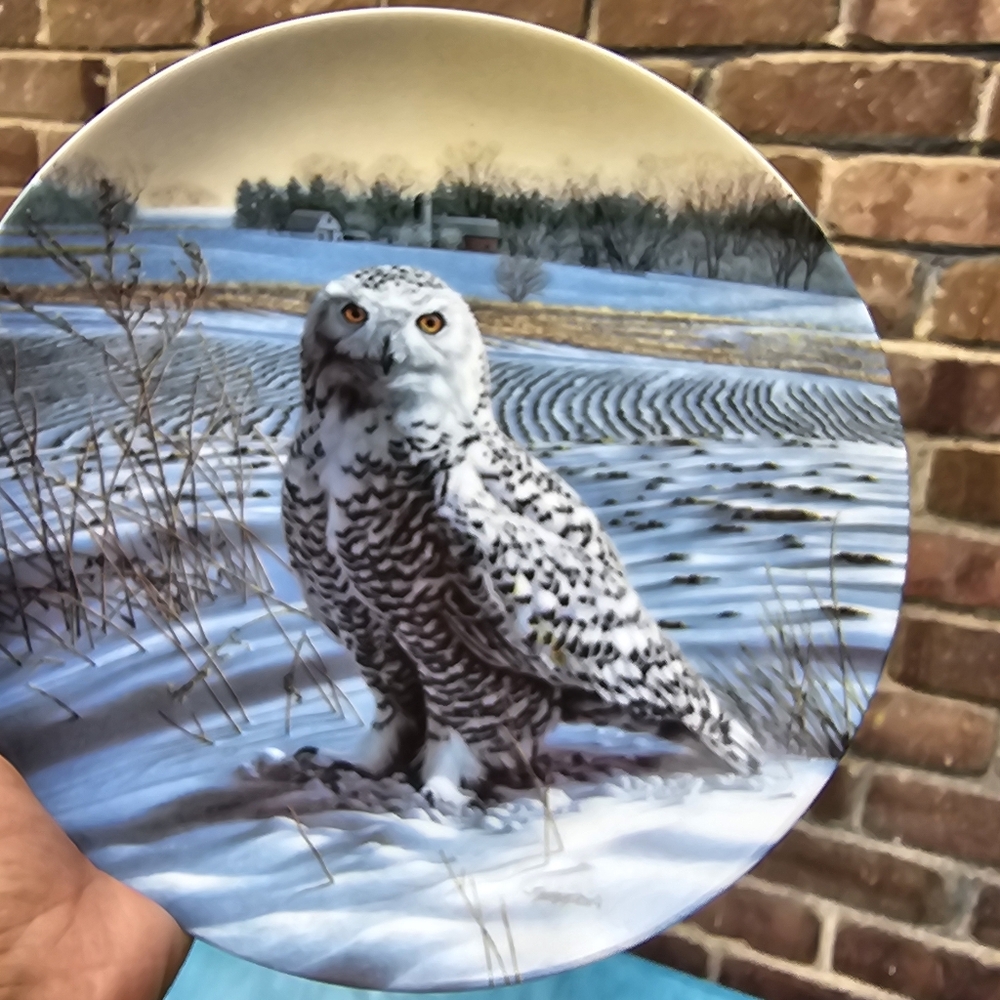 Knowles Plate Number 1588B in the Limited Edition of The Snowy Owl by Jim Beaudo